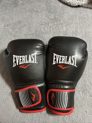 Everlast 14 oz. Sparring Gloves - Black With bag