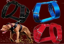 5cm wide Nylon Harness Doberman Pit Bull Terrier Rottweiler Dogo Molosser