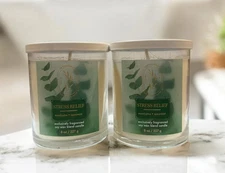 Bath & Body Works Stress Relief  Eucalyptus Spearmint Candles 8 oz – Lot of 2