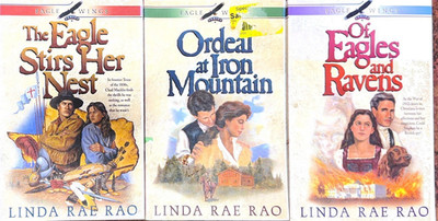 Eagles Wings series by Linda Rae Rao