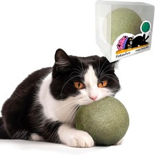3.94 Inches Huge Catnip Ball for Indoor Cats -Giant Cat Toys for Kittens -Jumbo