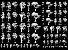 Spring Trees 79 pcs White Fused Glass Decals