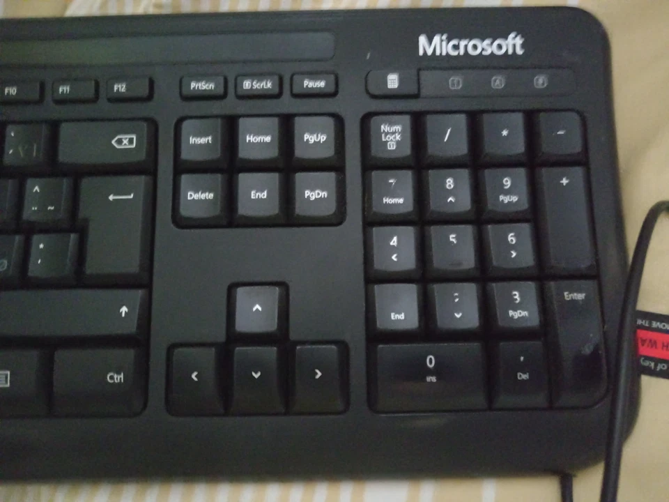 Tastiera Microsoft 600 model 1576 -  con cavo USB - Immagine 4 di 4