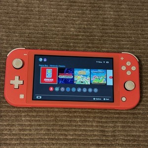 Pink Switch Lite | eBay