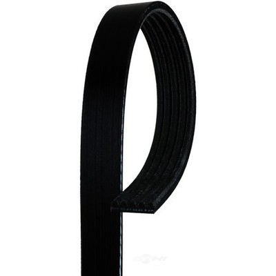 Acdelco 5K364 V Ribbed Serpentine Belt
