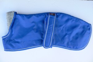 blizzard whippet coat