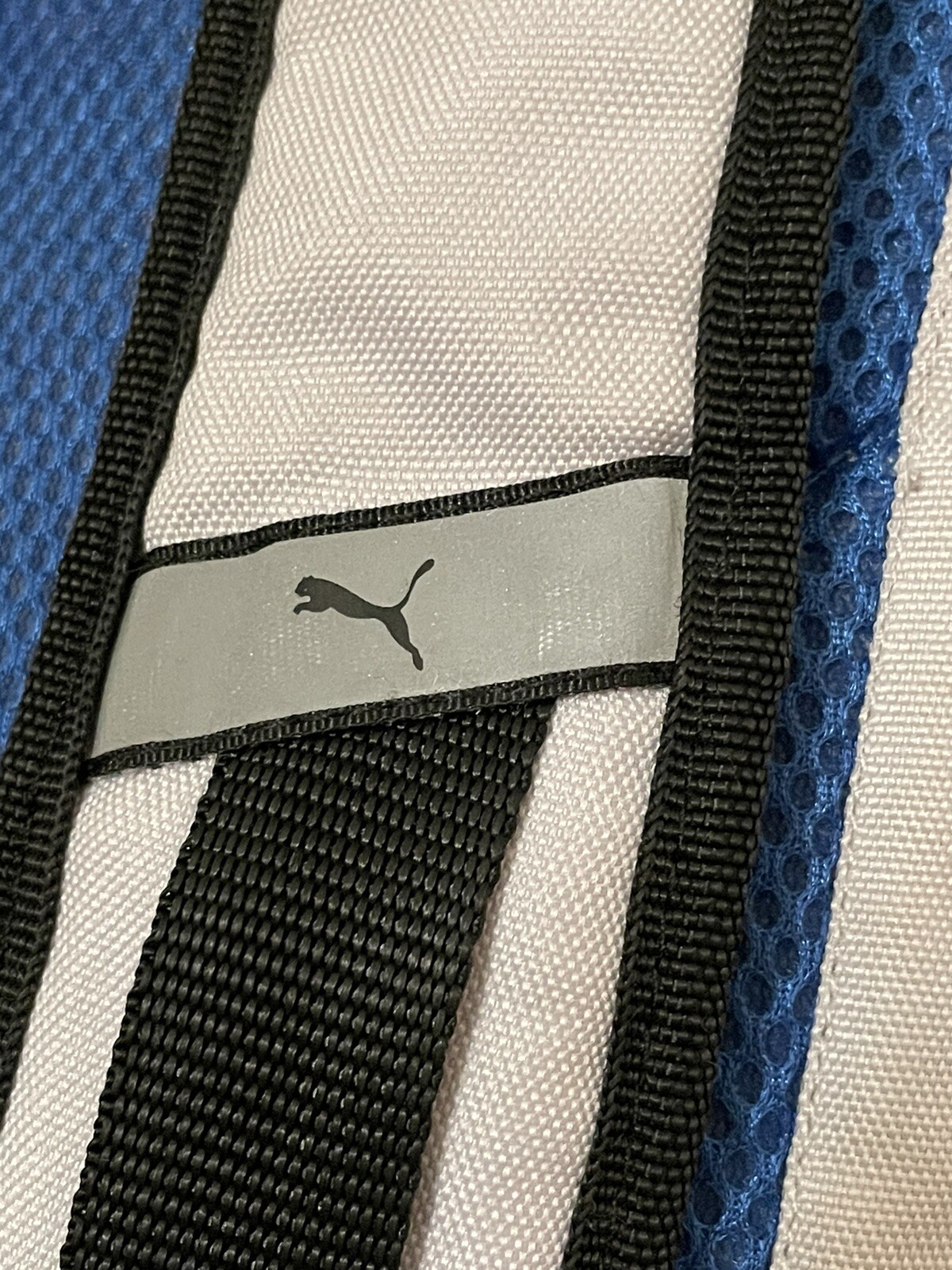 Picture 6 of 6