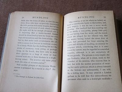 American Social History Courtship American Traditions Pre Marriage BUNDLING 