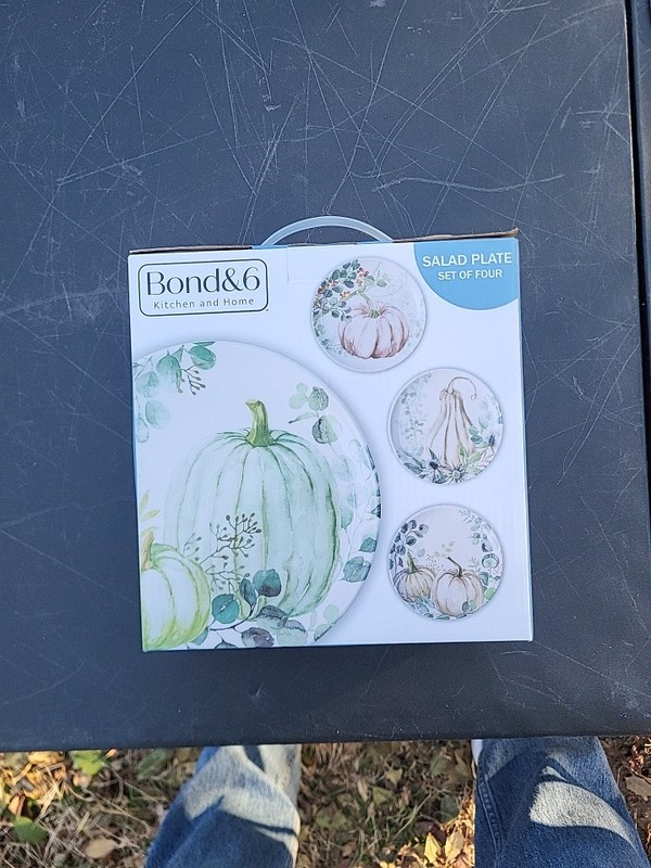 Bond & 6 kitchen And Home Salad Plate Set Of Four, NIB, 8.5 INCH