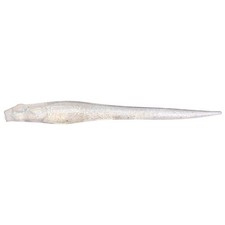 Megabass HAZEDONG 5inch Live Smelt Soft Bait Fishing Lure New