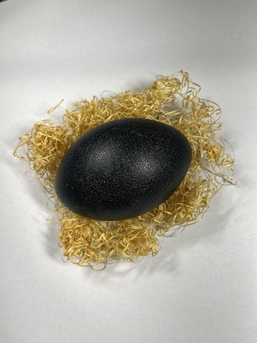 Genuine Emu Egg - Decorative Blown Out Clean Shells 2 Holes - Picture 2 of 8