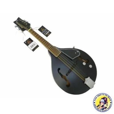 ORTEGA RMAE40SBK A-Style Acoustic Electric Mandolin Black with Gig Bag Case