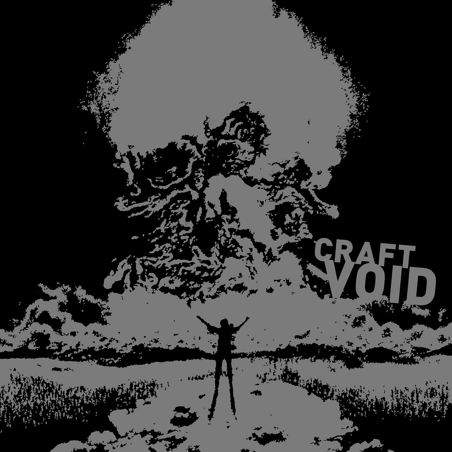 Цифровой пакет альбома Craft Void (CD)