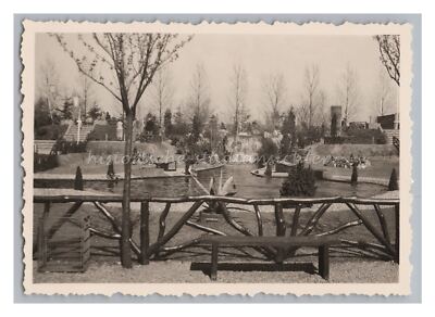 Alphen aan den Rijn Netherlands 1954 - Bird Park Avifauna - Old Photo 1950s