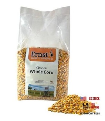 Ernst Grain & Livestock Whole Corn   Perfect 10 Pound (Pack of 1) Natural Scent