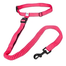 Hands Free Dog Leash Running Leash for Dogs Create A Pet Exercise Routine