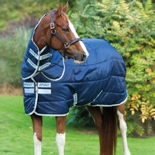 Horseware Amigo Insulator