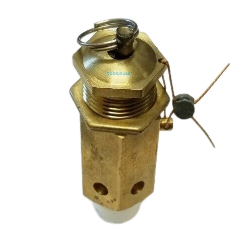 Safety Valve World Steam Mini Boiler Portable All Steam Iron | eBay