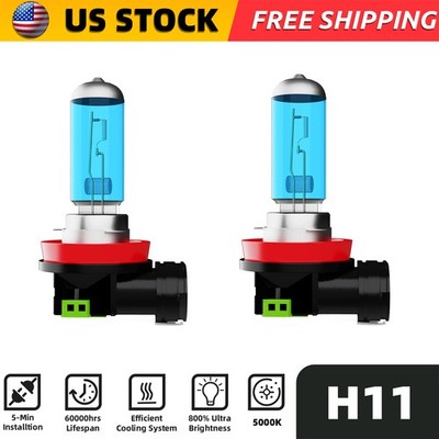 2 Bulbs H11 H8 H9 Halogen Bulbs Headlights Lamps Warm White Bright 5000K USA