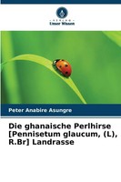 Die Ghanaische Perlhirse Pennisetum Glaucum, (L), R.Br Landrasse | Asungre