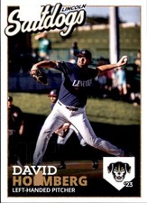 2023 Lincoln Saltdogs Team Issue #14 David Holmberg Fort Myers Florida FL Card