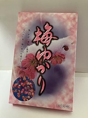 Man-Nen Ume Yukari Kombu Tee (groß 2g x 30 Päckchen)
