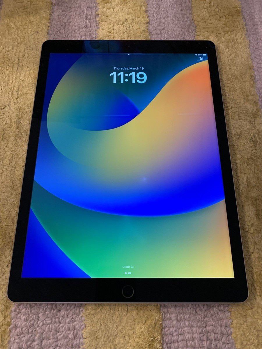 Apple iPad Pro 12.9 (1st Gen.) Space Gray 32GB WiFi - Excellent w