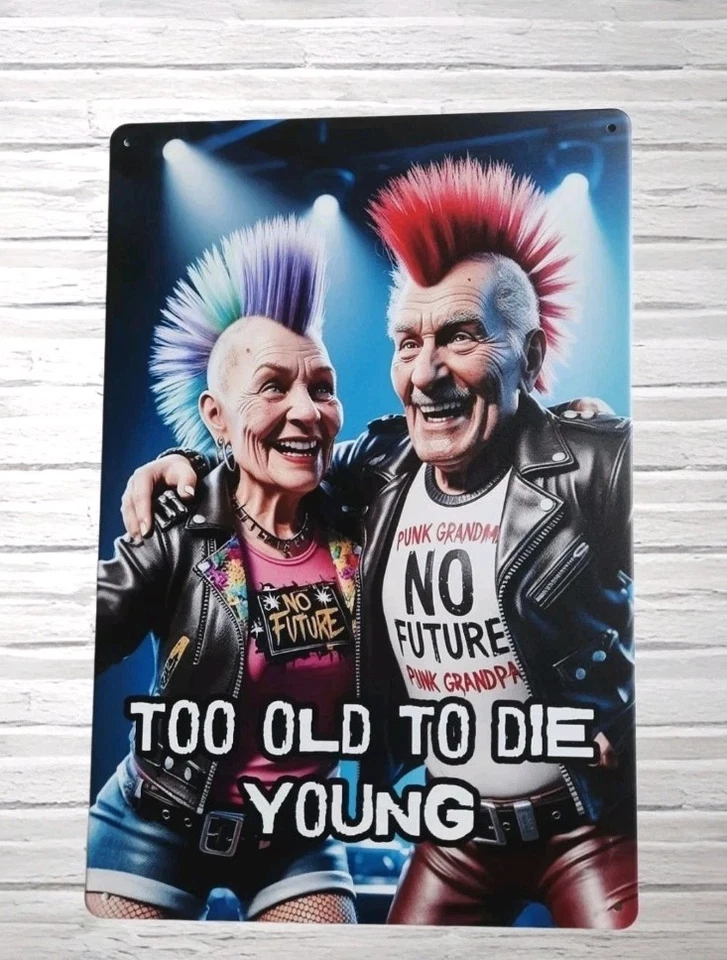 Lustiges Blechschild Punk Too old to die young No future Geschenk Deko Humor F65 - Bild 1 von 1