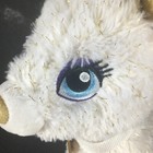 Foto 15 di 23