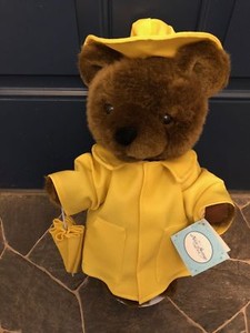 teddy bear with raincoat