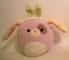 Squishmallow Dog w/ Bunny Ears 5 Inch Soft Stuffed Toy 2024 (No Hang Tags) — photo 1