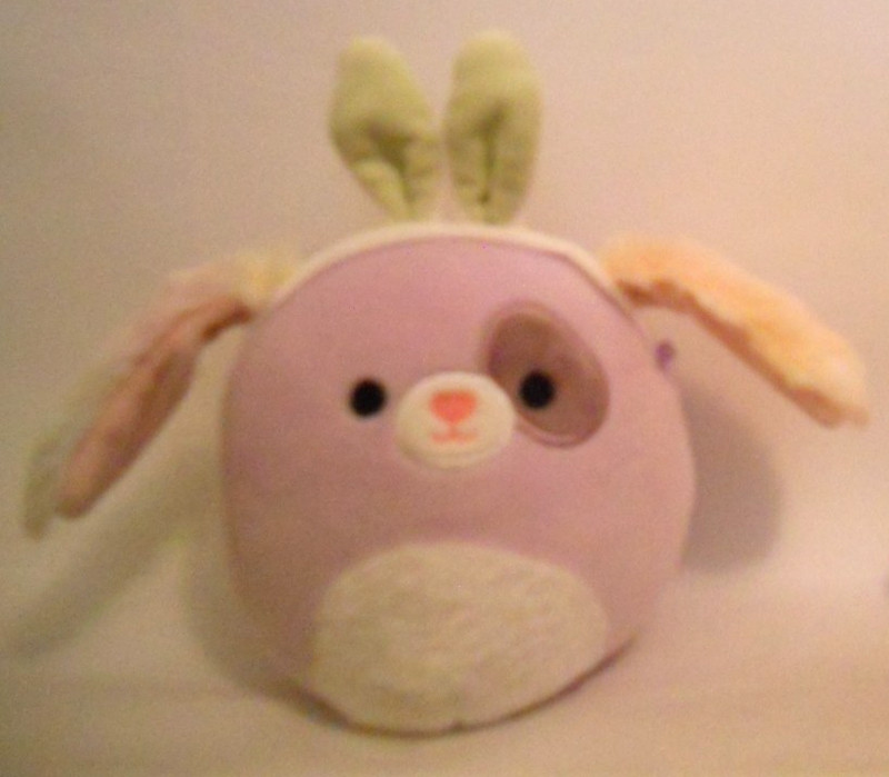 Squishmallow Dog w/ Bunny Ears 5 Inch Soft Stuffed Toy 2024 (No Hang Tags)