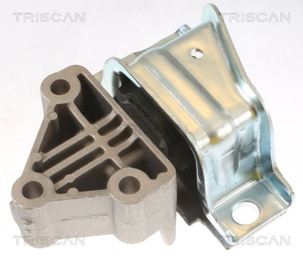 Triscan Motorlager 8505 15110 FüR Fiat Ducato Bus 110 Multijet 120 130 140 150-image