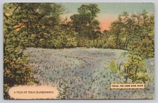Texas The Lone Start State Field Of Texas Bluebonnets Linen Postcard Posted