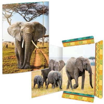 RNK Zeichenmappe Elefant DIN A3 350g/m² 31x44cm - 10157448