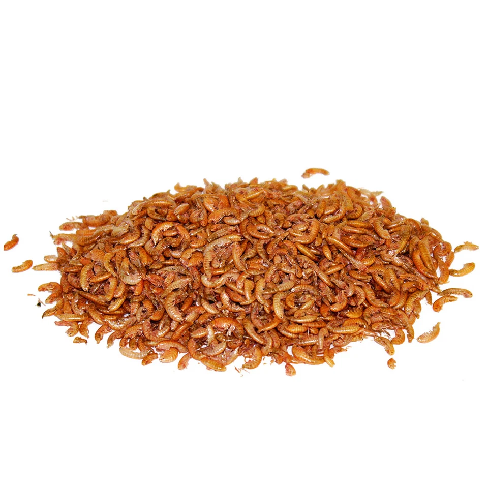 10 Liter Bachflohkrebse Koifutter Koi Gammarus Vogelfutter Reptilienfutter Fisch - Bild 3 von 3