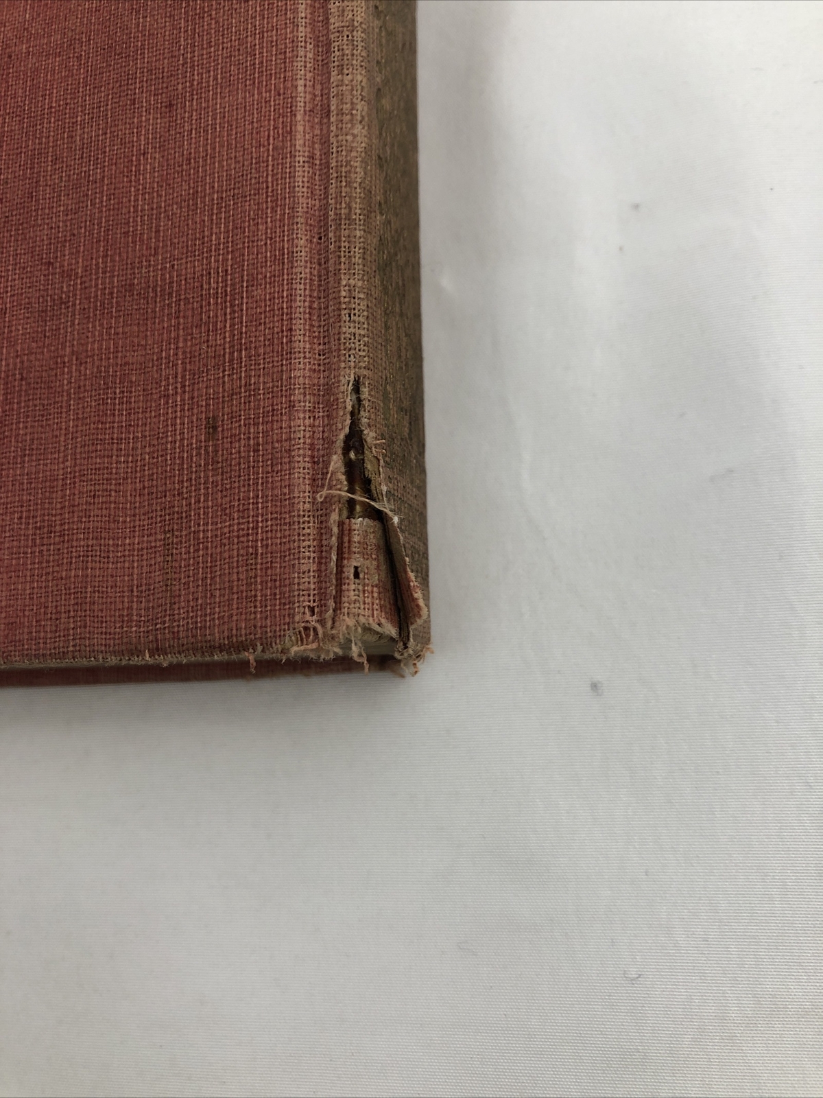 Picture 4 of 4