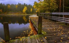 Landscape nature fall leaves lake forest walkway fence Custom Gaming Mat Desk