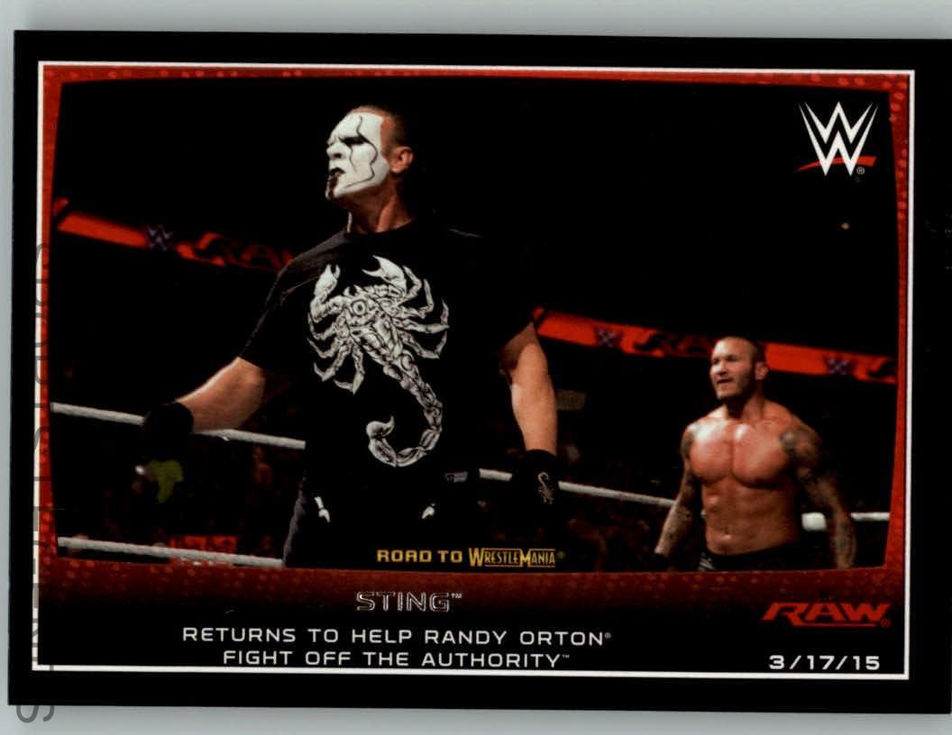 2015 WWE Road to Wrestlemania #96 Sting