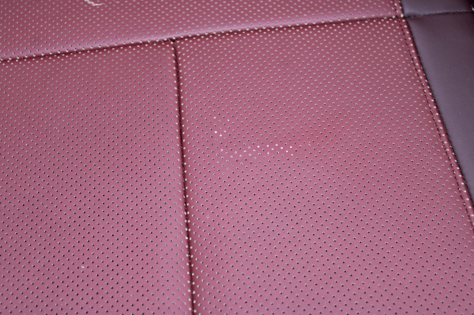 Picture 8 of 24