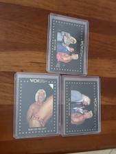 WCW Ric Flair Card Lot