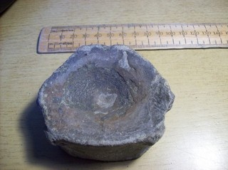 Large Fossil Ichthyosaur Vertebra from Victorian Collection