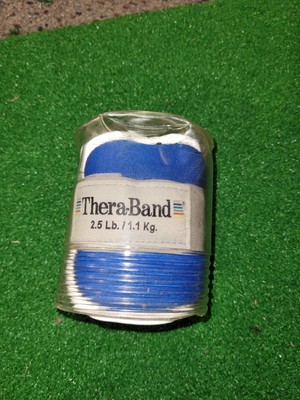 1 TheraBand Ankle & Wrist Weight 2.5lb Adjustable Rehab Exercise SINGLE