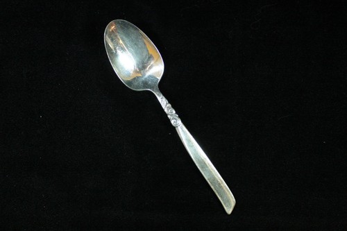 Community Oneida Stainless South Seas Pattern Flatware Silver Plate Your Choice - Picture 2 of 54