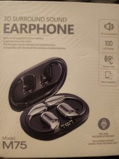 language translation earphone
