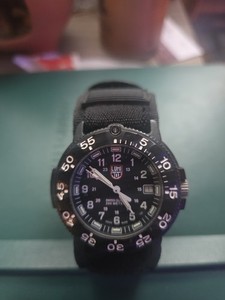 Luminox 3000 3900 | eBay