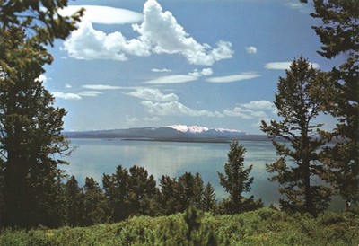Postcard WY Yellowstone Lake Grand Loop Road National Park Gigantic Volcanic