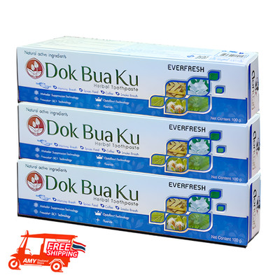 3 x TWIN LOTUS Herbal Toothpaste Everfresh Fluoride Toothpaste Fresh Breath 100g