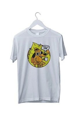 This is Fine Everything ls Fine Meme Shitpost Grafik T-Shirt S M L XL 2 3 4 XL
