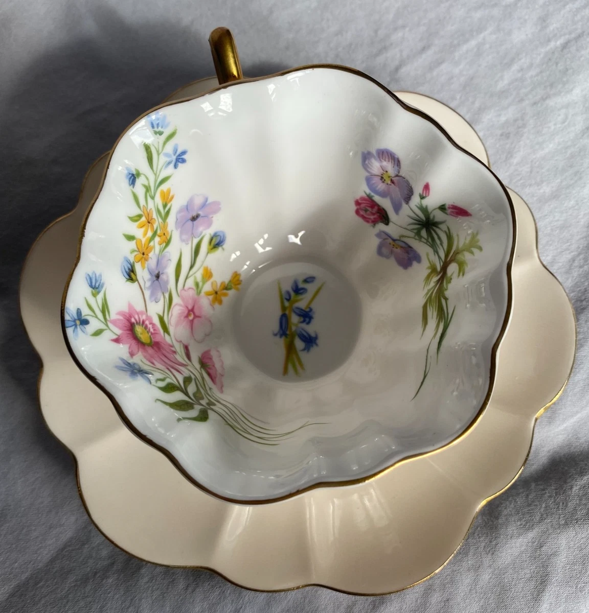 Shelley Cup Saucer for sale | eBay
